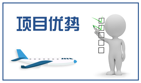 项目优势