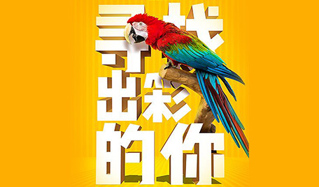 职位招聘